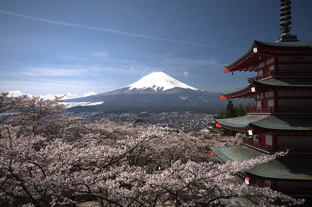 mt-fuji-most-visited-google